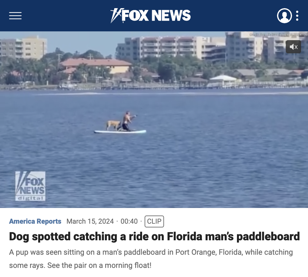boat - Vfox News digital Fox News America Reports Clip Dog spotted catching a ride on Florida man's paddleboard A pup was seen sitting on a man's paddleboard in Port Orange, Florida, while catching some rays. See the pair on a morning float!